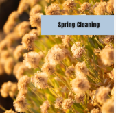 Spring Cleaning Must Do’s Inside and Out header image.