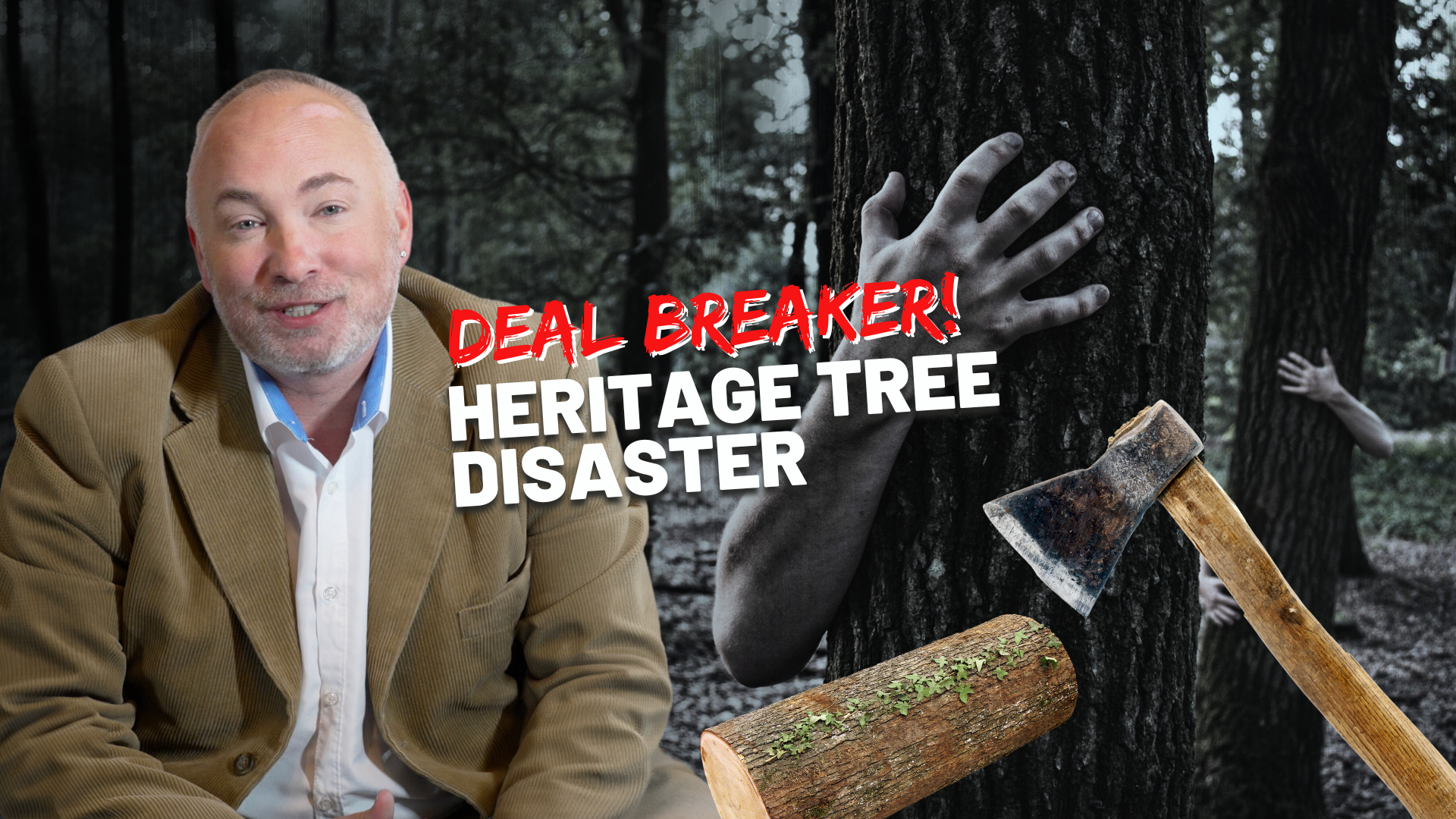 How a 200-Year-Old Tree Killed a $700,000 Sarasota Real Estate Deal header image.
