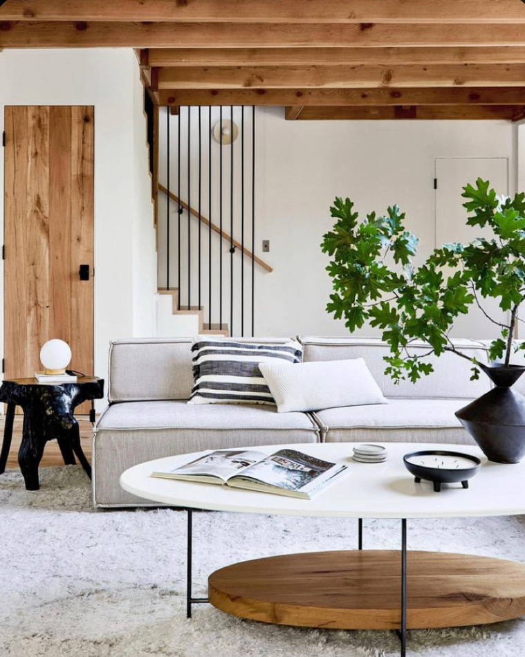 7 Easy to Care For House Plants header image.