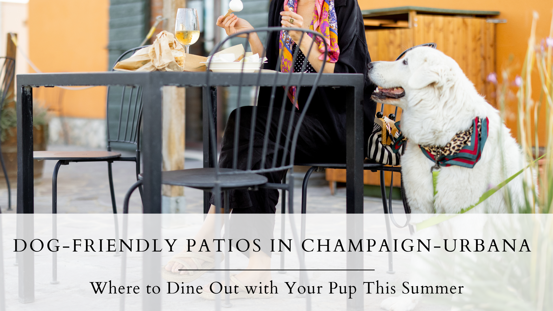 Dog-Friendly Patios in Champaign-Urbana
