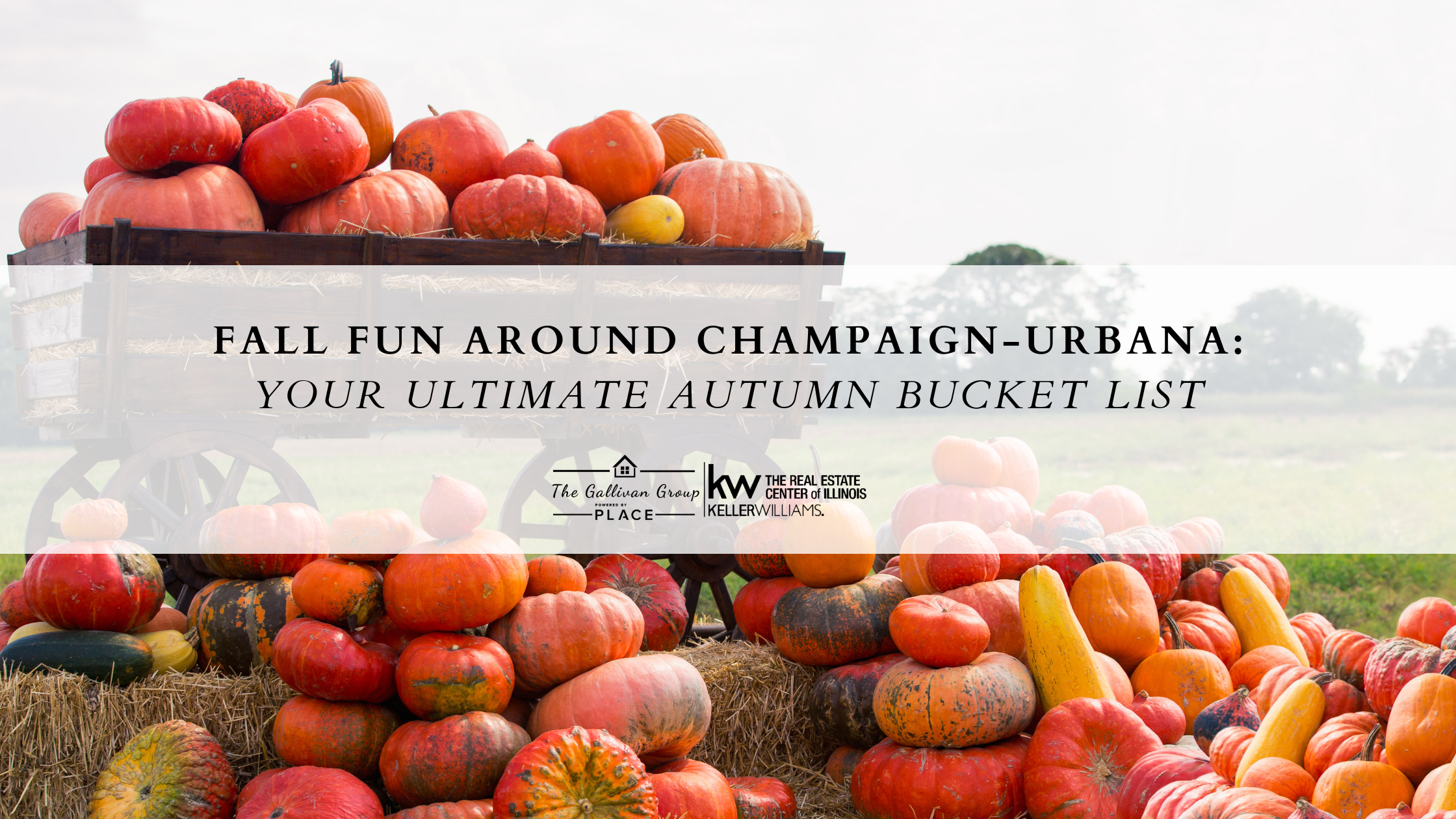 Fall Fun in Champaign-Urbana | Must-Do Activities and Local Events