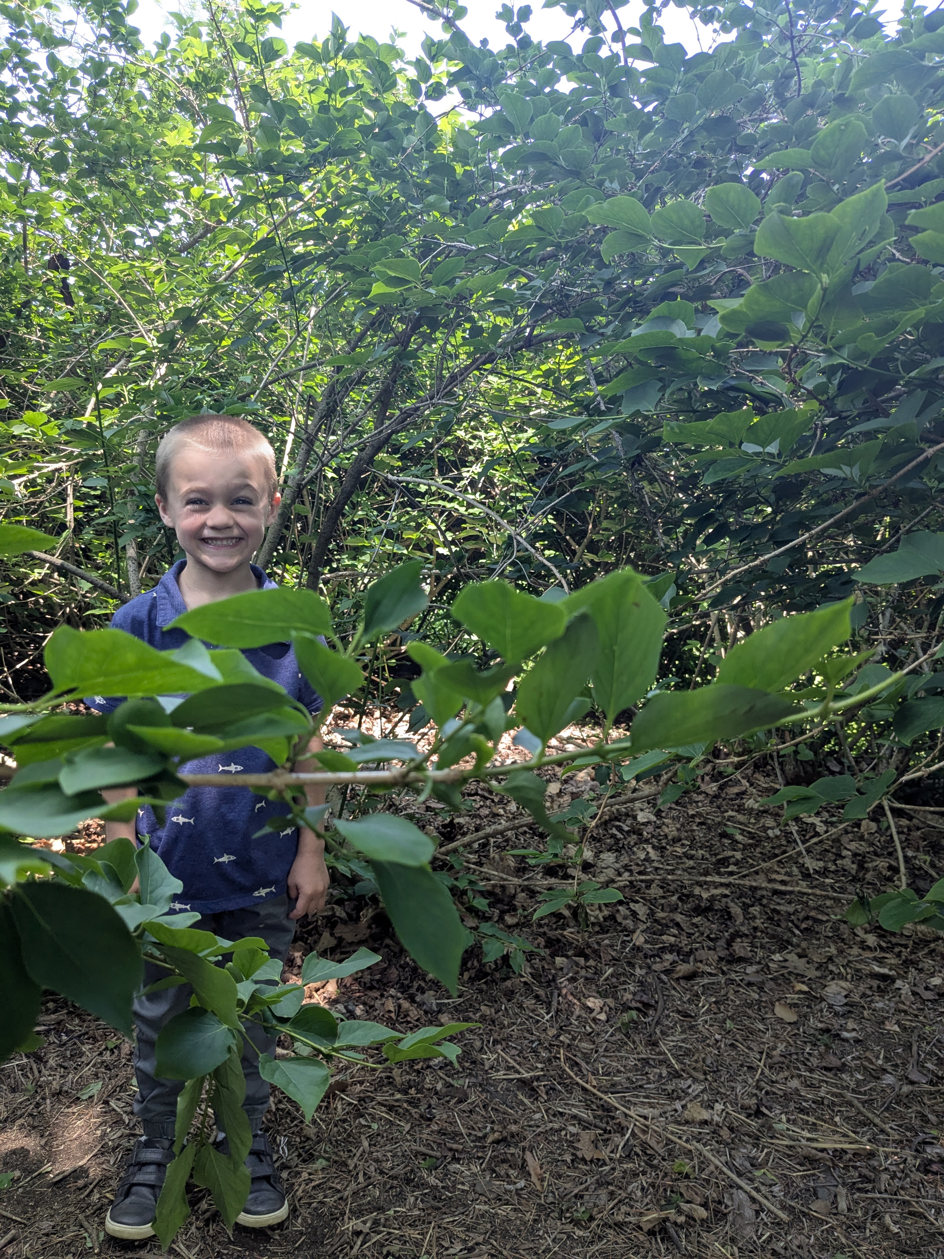Preschool Age Boy smiling behind a tree