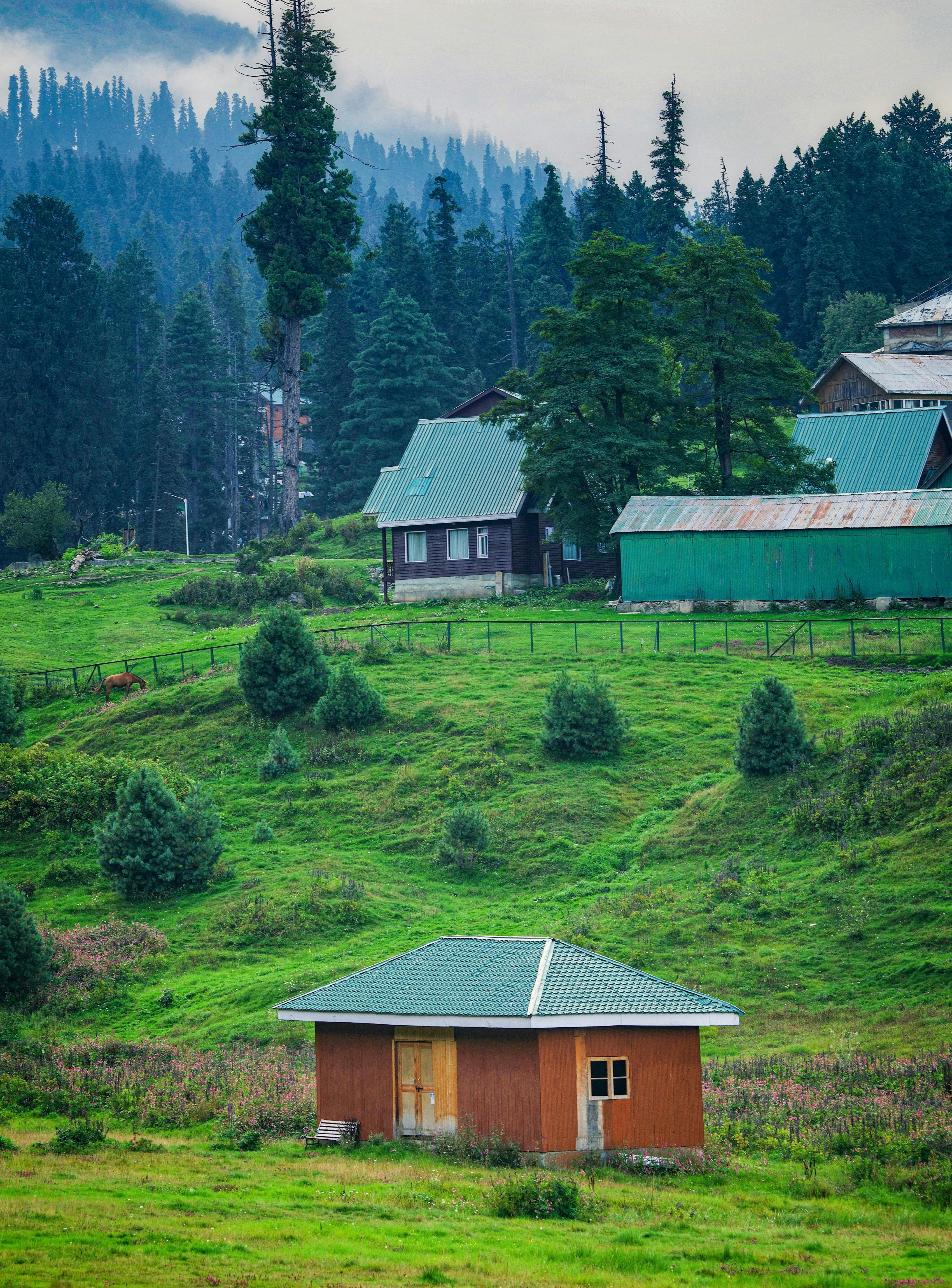 How Immigration Enforcement Funding Could Impact Real Estate Development and Costs header image.