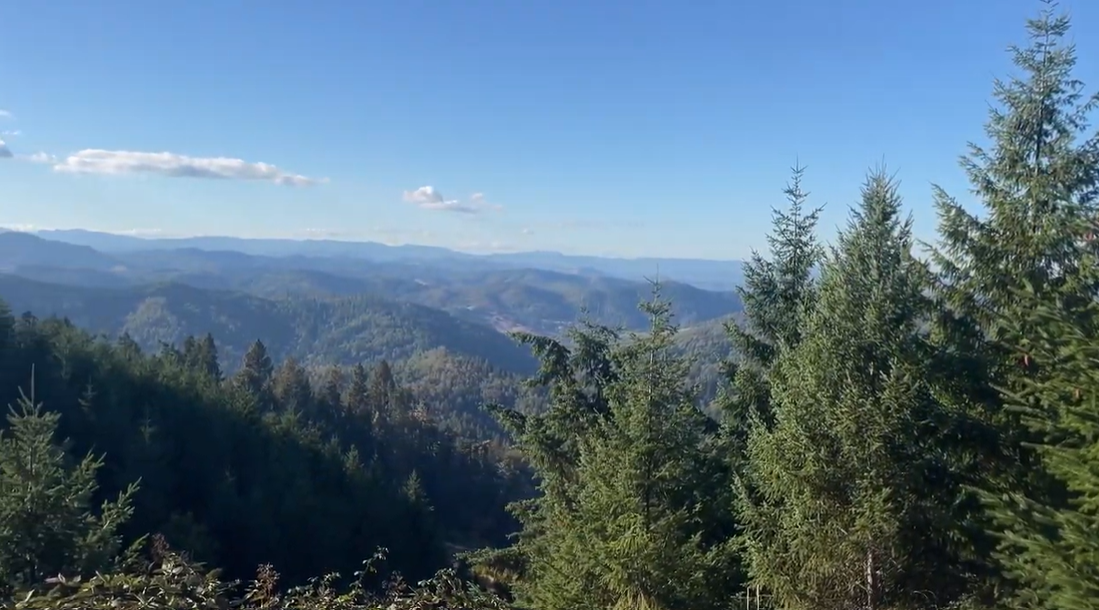 Douglas County Oregon neighborhood homes reflecting current local real estate market conditions