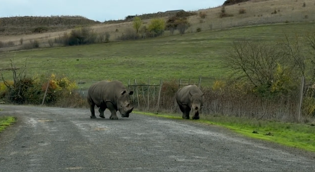 Douglas County homes with neighborhood insights for buyers and sellers navigating the 2026 real estate market.