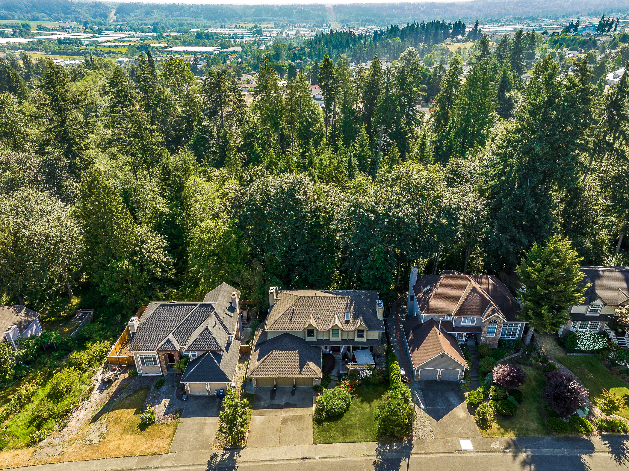 Live in the forest in Auburn header image.