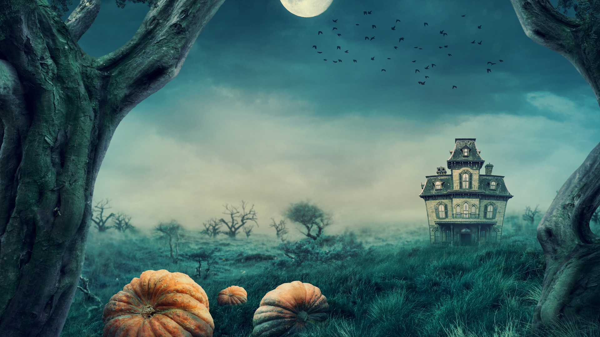 Feeling spooky? header image.