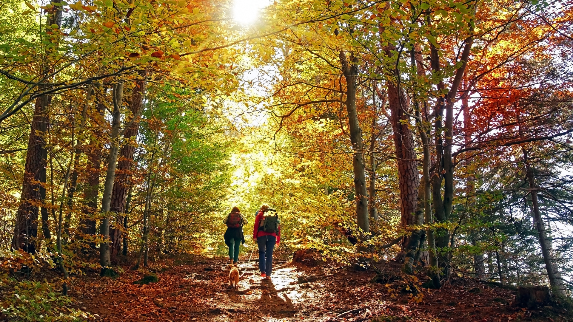 Take a hike! header image.