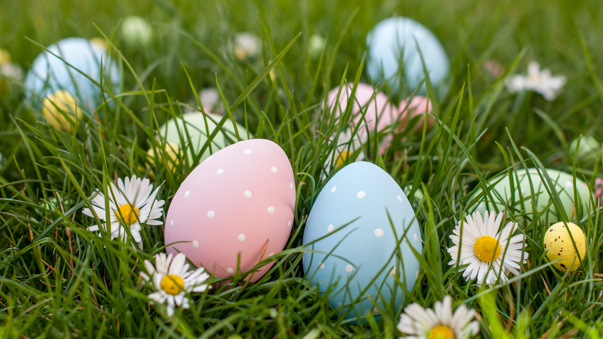 Local Easter Activities! header image.