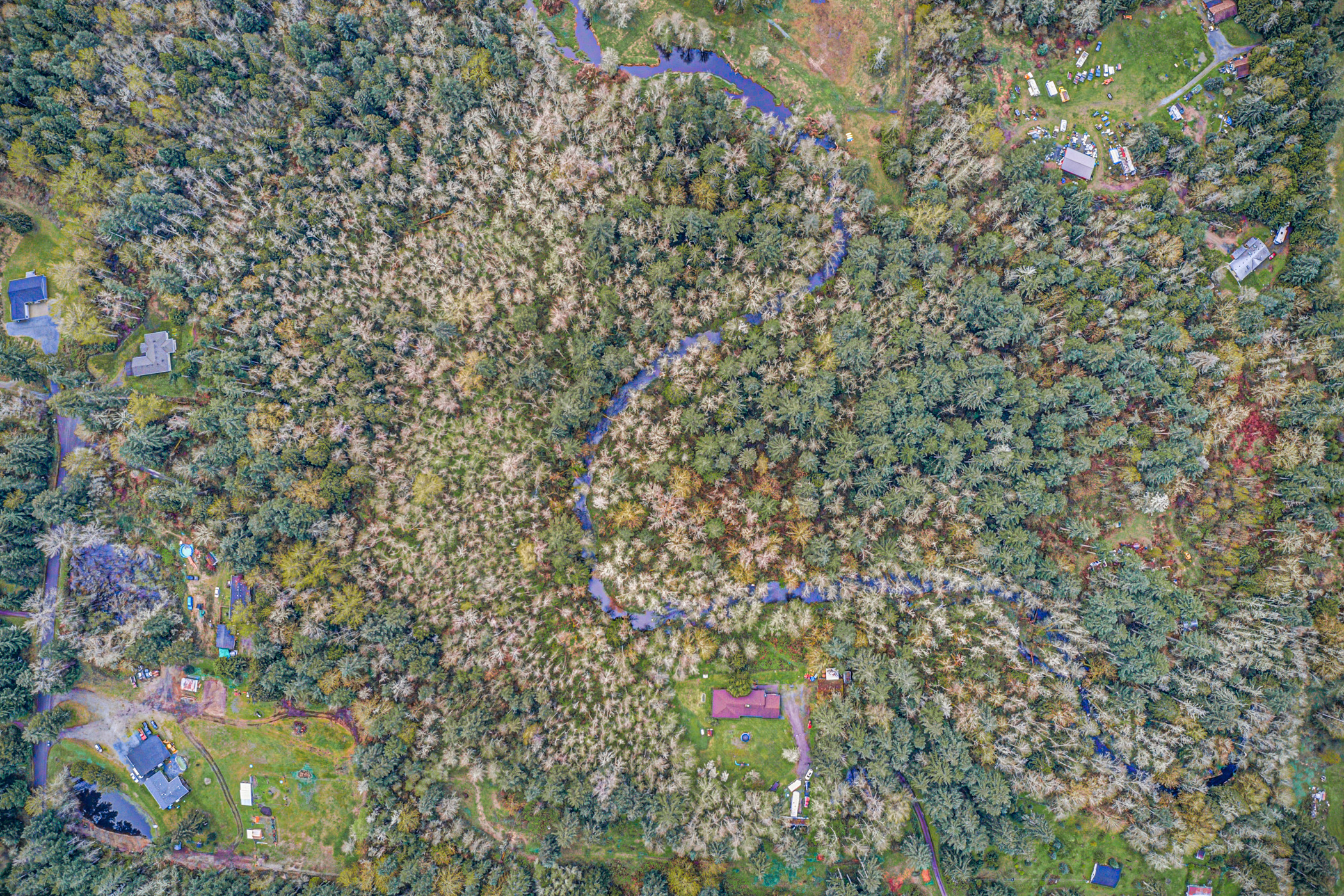 Adorable Rambler on 17+ Gorgeous Acres header image.