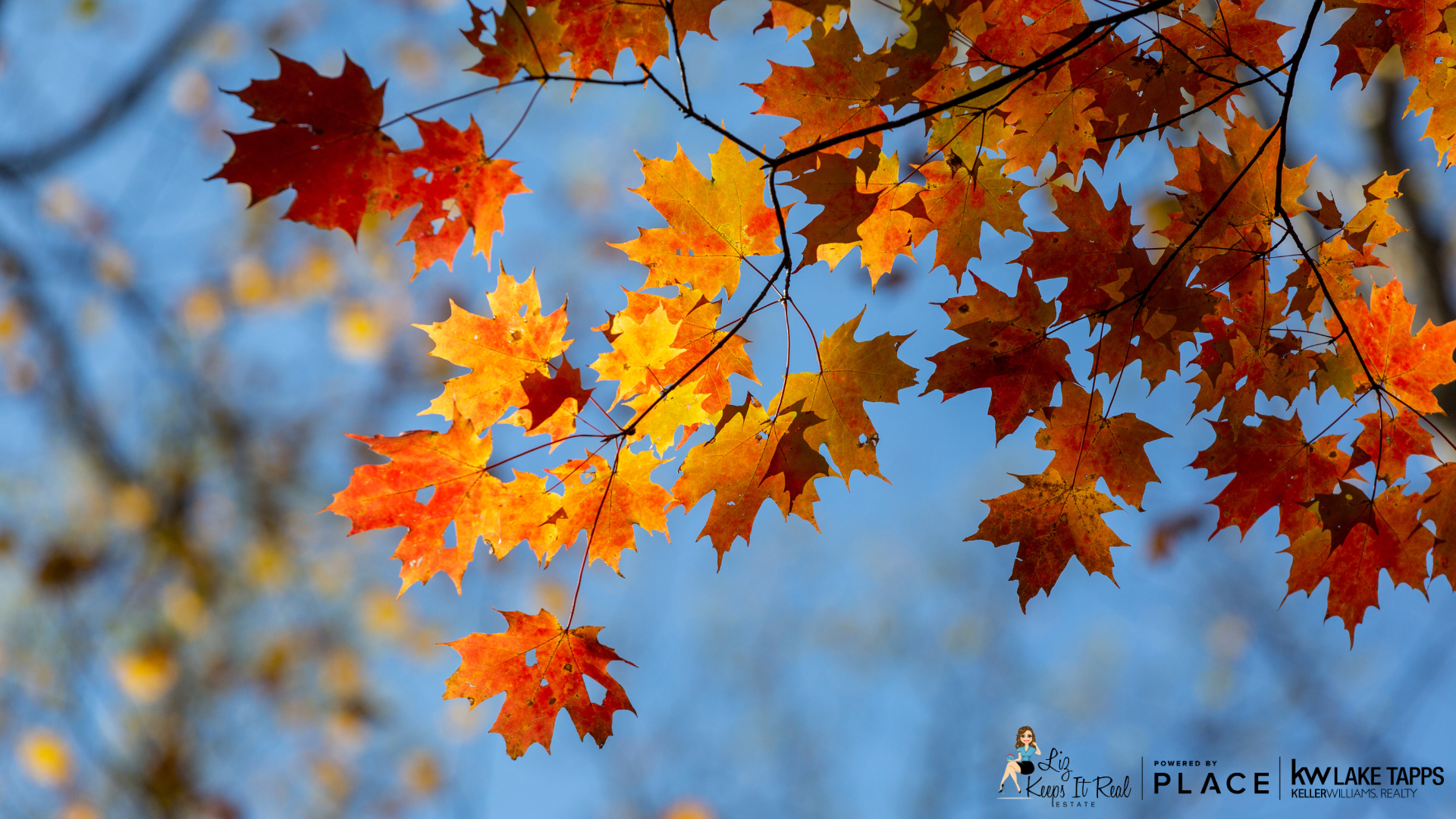 Autumn events in the PNW header image.