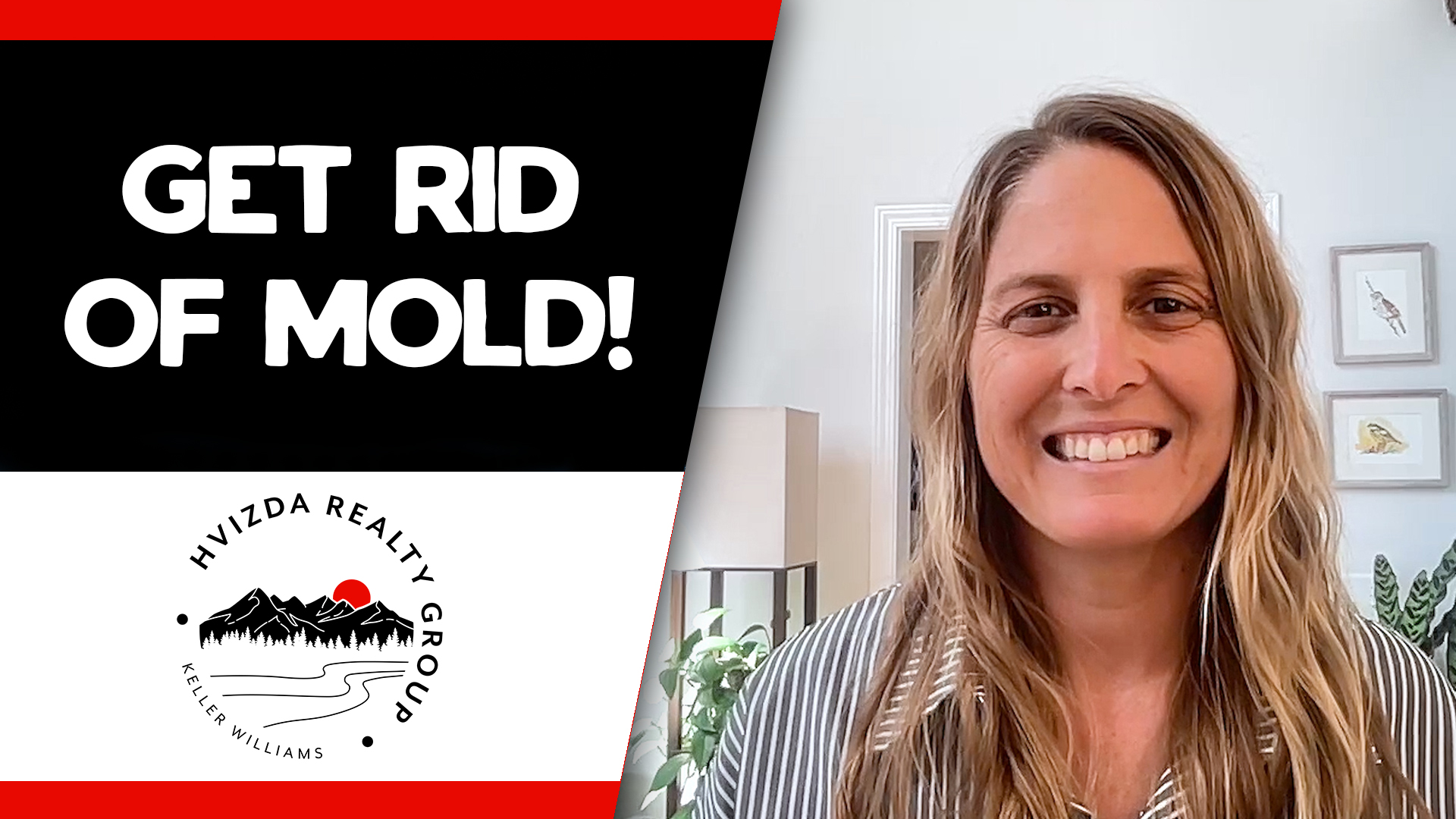 3 Simple Steps To Address Mold Issues header image.
