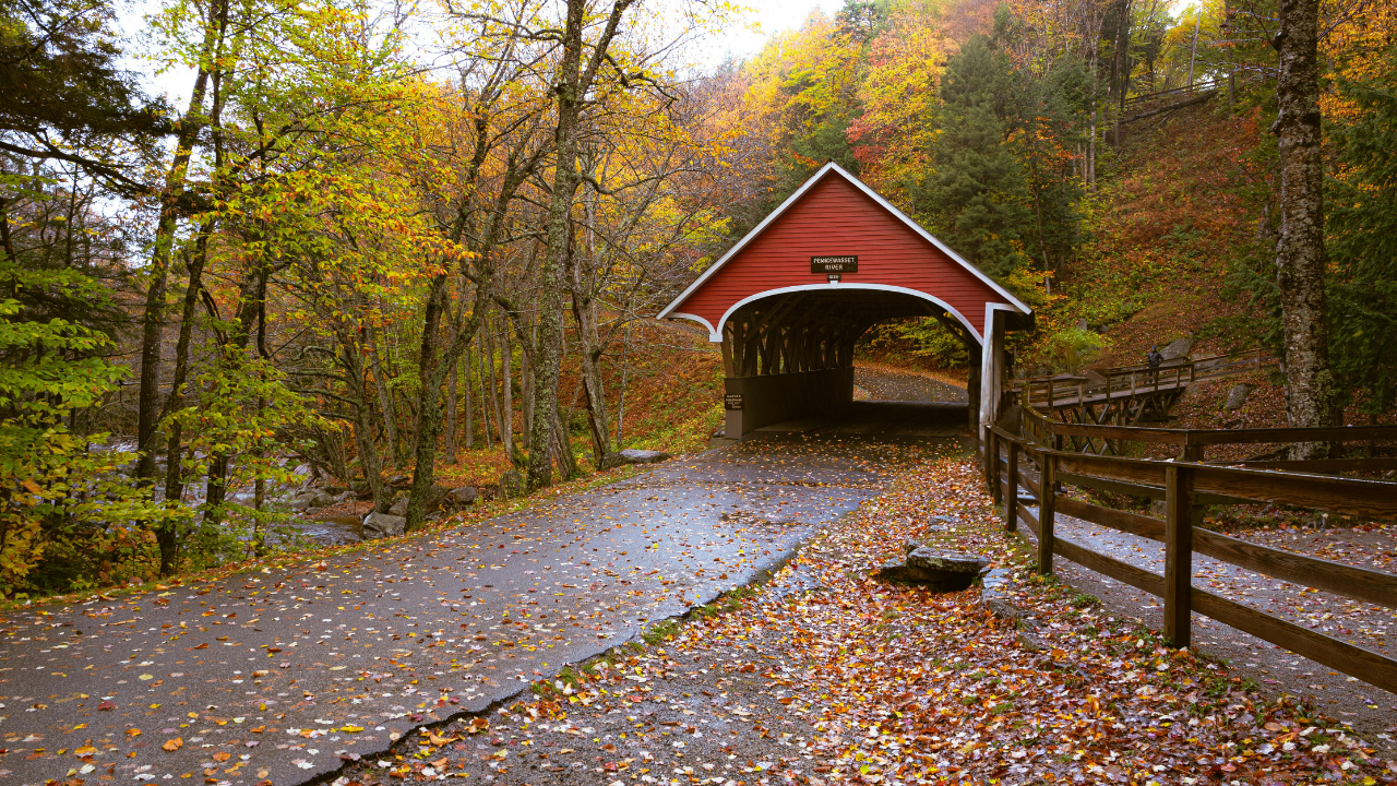 How Is This Place Real? header image.
