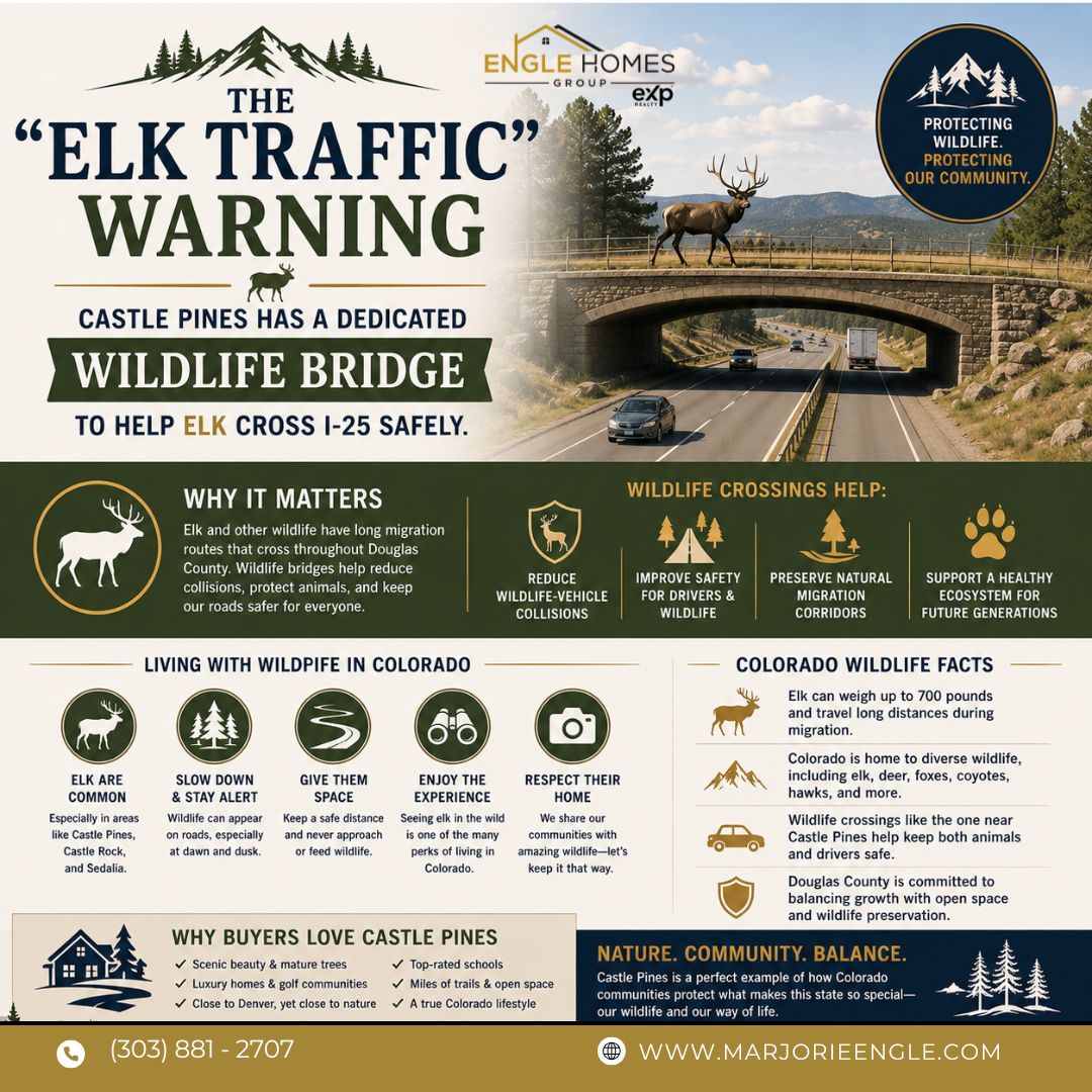 The “Elk Traffic” Warning: Why Castle Pines Has Wildlife Crossings for Elk header image.