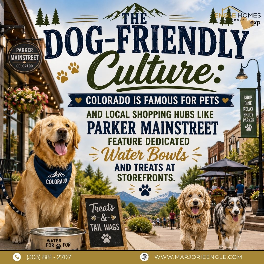 Moving With a Dog? Parker and Douglas County Make It Easy to Bring Them Along header image.