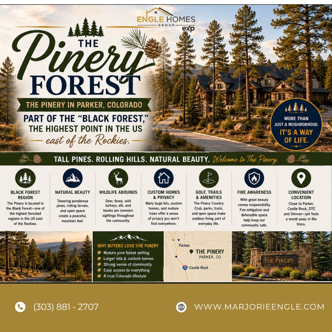 The “Pinery” Forest: Why The Pinery in Parker Feels So Different Than the Rest of Colorado header image.