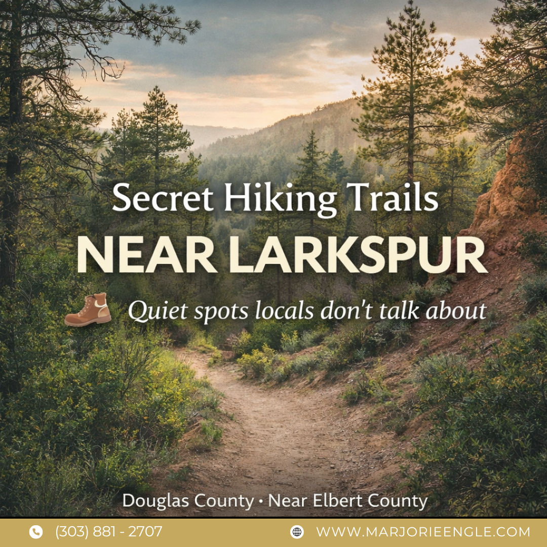 Secret Hiking Trails Near Larkspur header image.