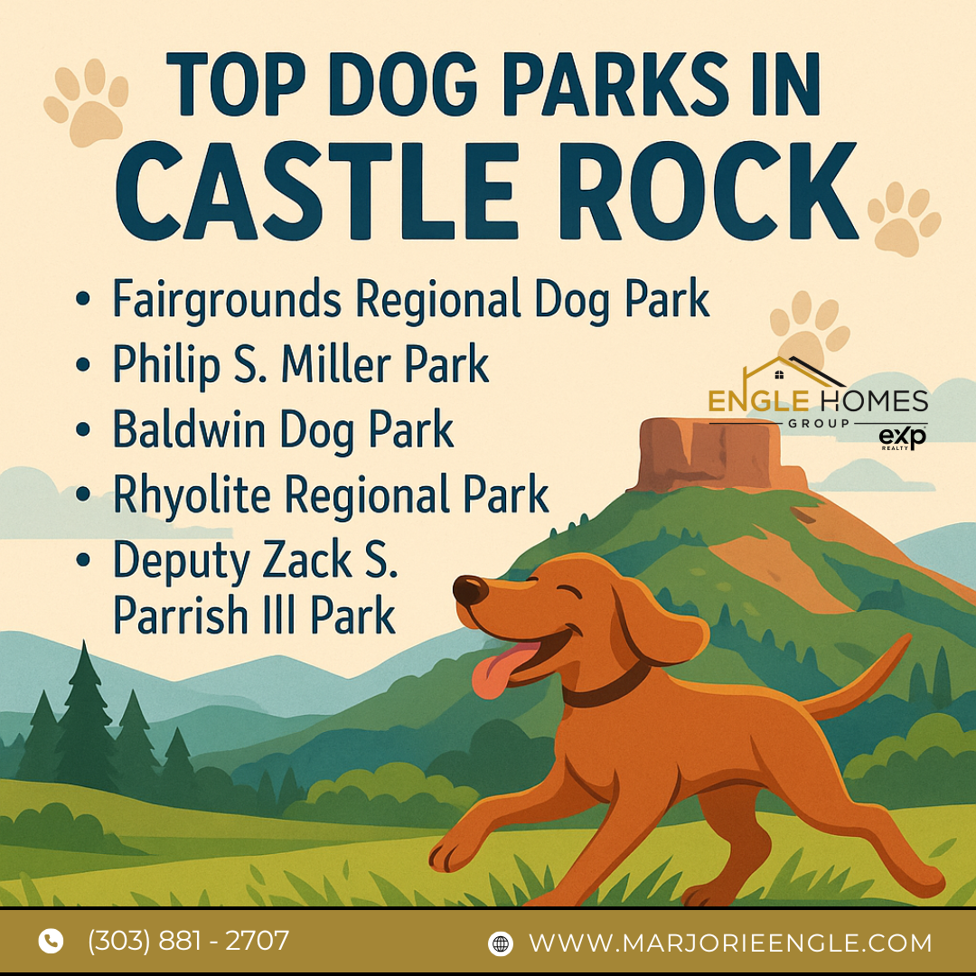 Best Dog Parks in Castle Rock, CO: A Guide for Local Buyers and Sellers header image.