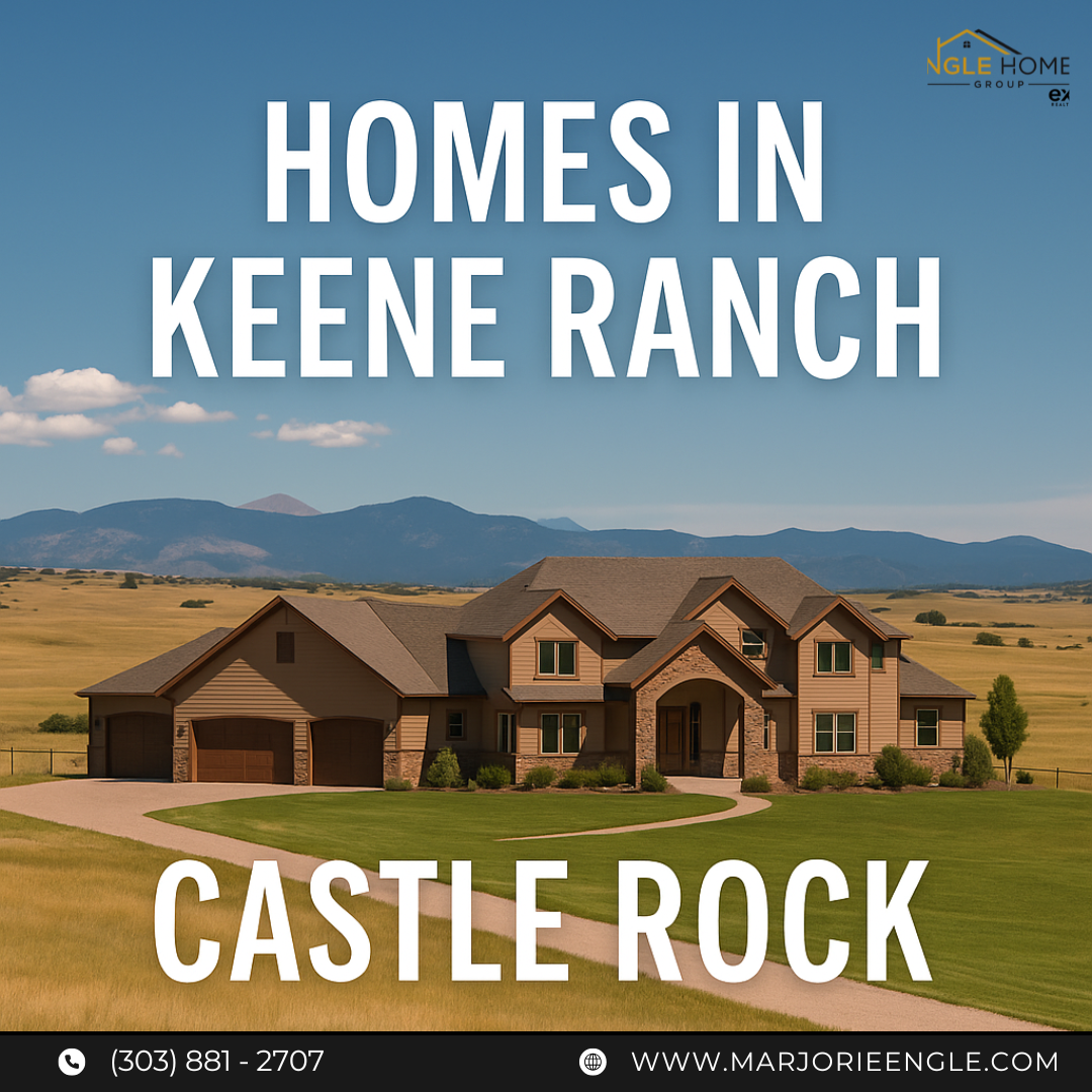**🏡 Homes in Keene Ranch, Castle Rock header image.