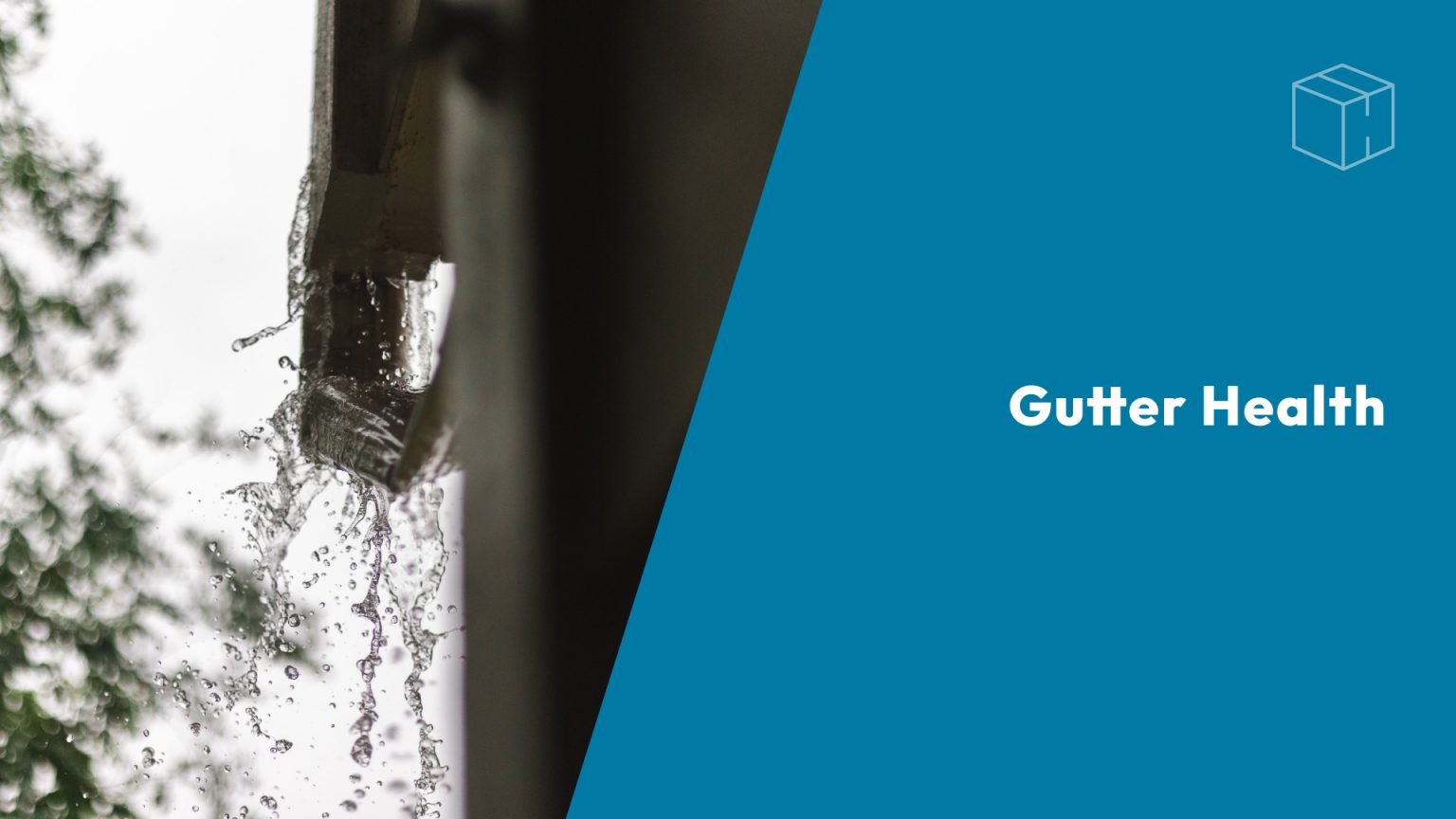 Gutter Health header image.