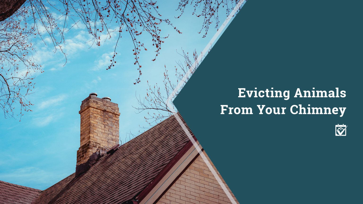 Evicting Animals From Your Chimney header image.