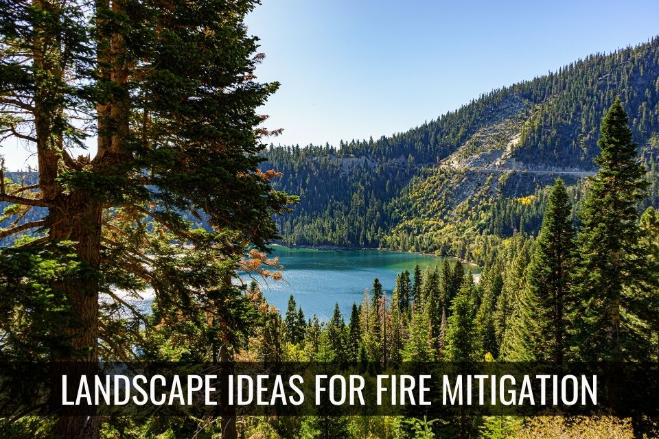 Landscape Ideas for Fire Mitigation header image.