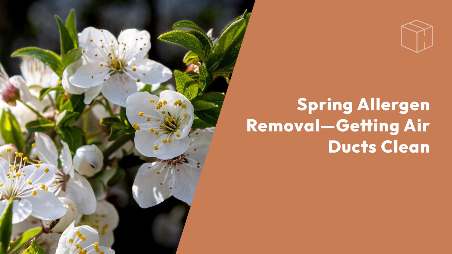 Spring Allergen Removal—Getting Air Ducts Clean header image.