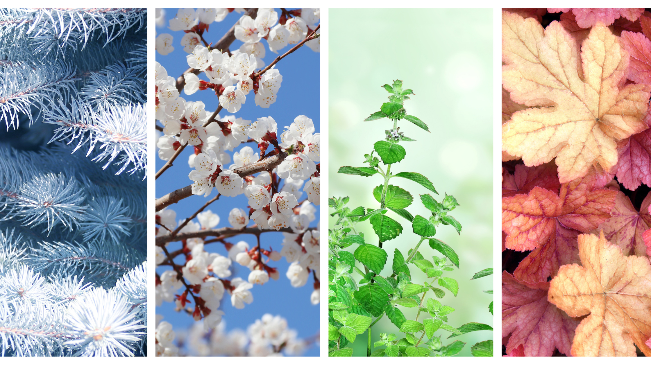 There’s No Such Thing as the “Perfect” Time to Buy header image.