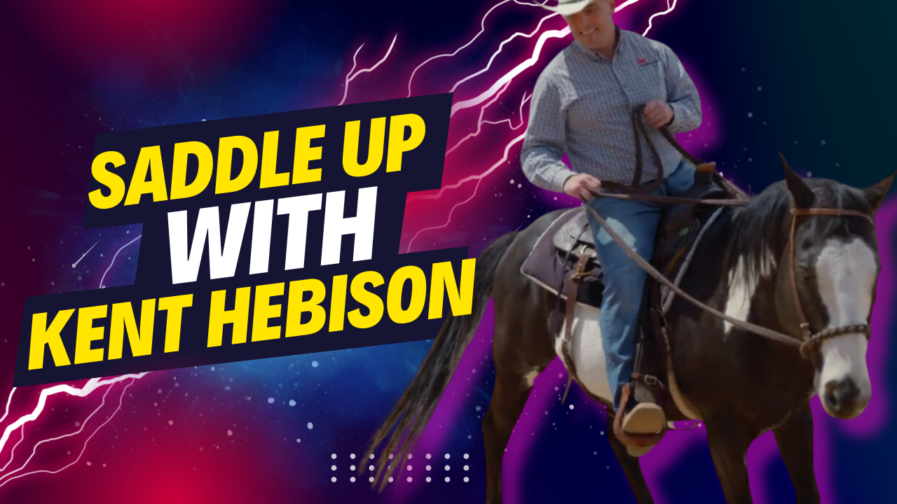 Saddle Up For a Wild Ride in Lubbock Real Estate with Kent Hebison | Living In Lubbock, Texas header image.