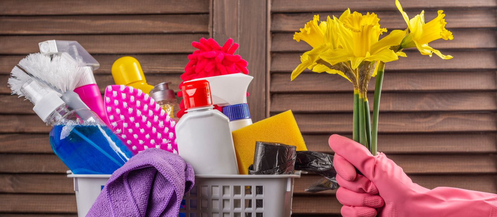 SPRING IS COMING... header image.
