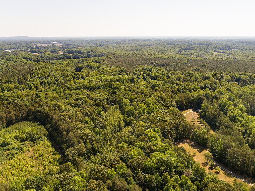 Broken Arrow Lane header image.