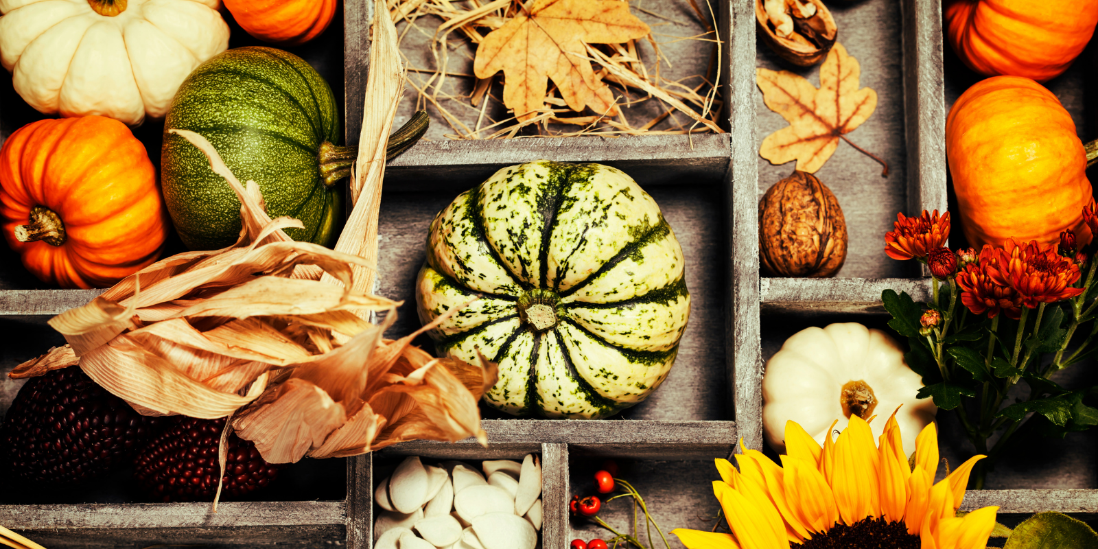 Four Steps to Get Your Home Organized this Fall header image.