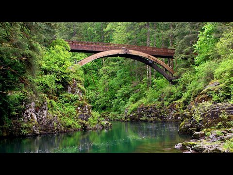 Yacolt, Washington: True Small-Town Country Living header image.
