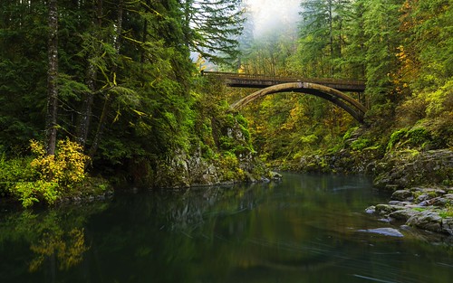 Is Hockinson, Washington, the Perfect Place for Your Next Home? header image.