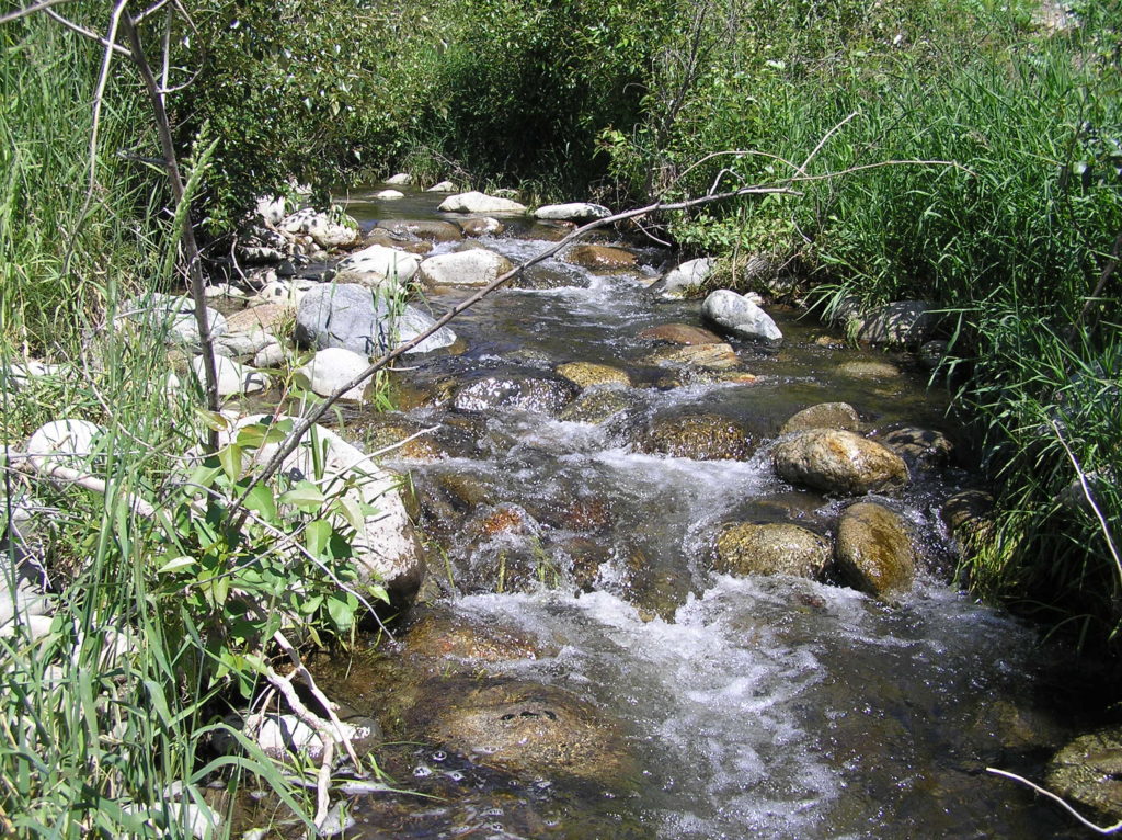 Why Salmon Creek, Washington Should Be on Your Radar header image.