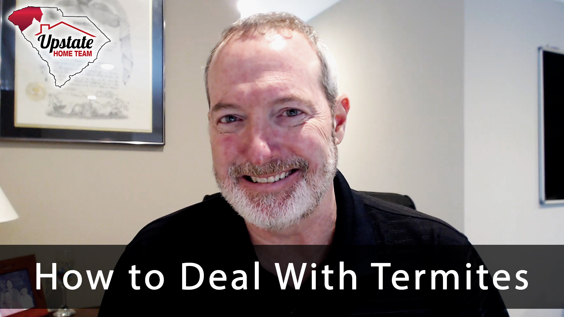 3 Ways to Prevent Termites header image.