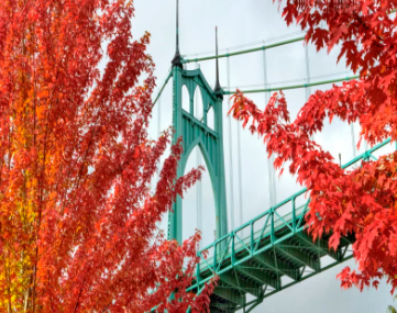 🏡 Portland Real Estate Market Update – October 2025 header image.