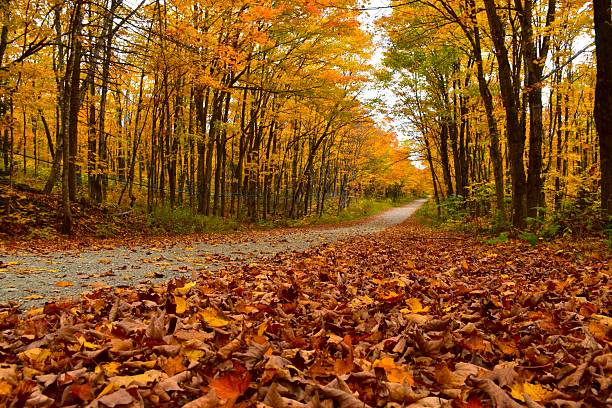 Clark County Wants Your Take on Its Parks. The Survey Closes Nov. 1. header image.