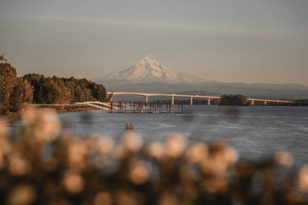 We Ranked Every City in Clark County! header image.