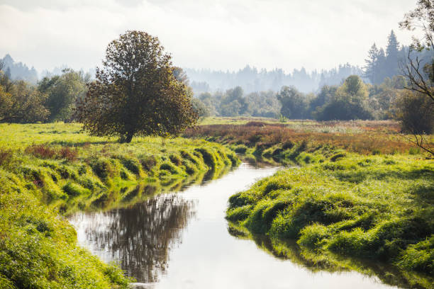 Salmon Creek, Washington Relocation City Guide (2026) header image.