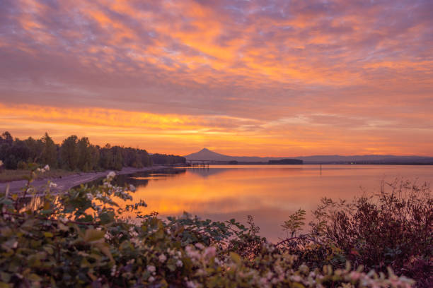 Small County, Big Summer: Why Clark County's Micro-Markets Are Basically One Backyard header image.