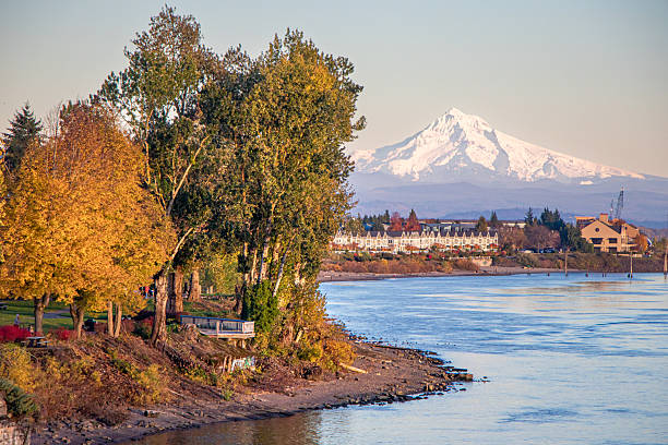 We Know Where the Locals Swim: 5 Clark County Lakes Built for a Pacific Northwest Summer header image.