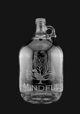 A Local Gem for Better Hydration: Mindful Water Co. in Idaho Falls header image.