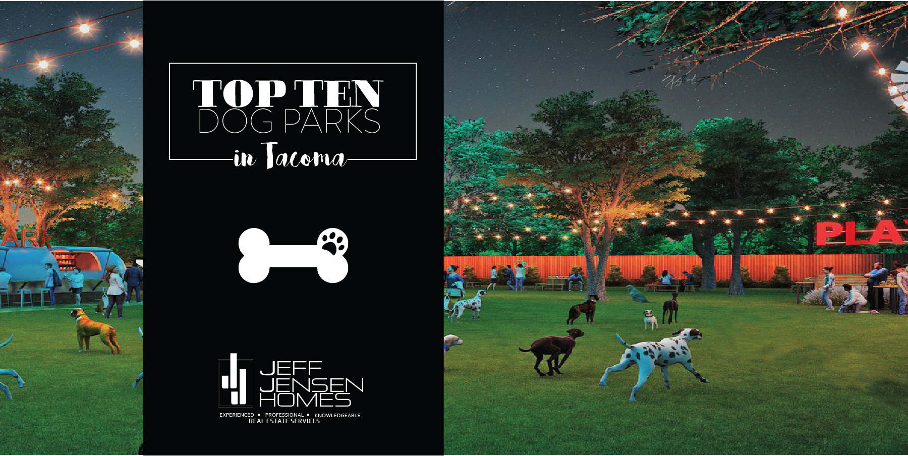 Top Ten Dog Parks In Tacoma header image.
