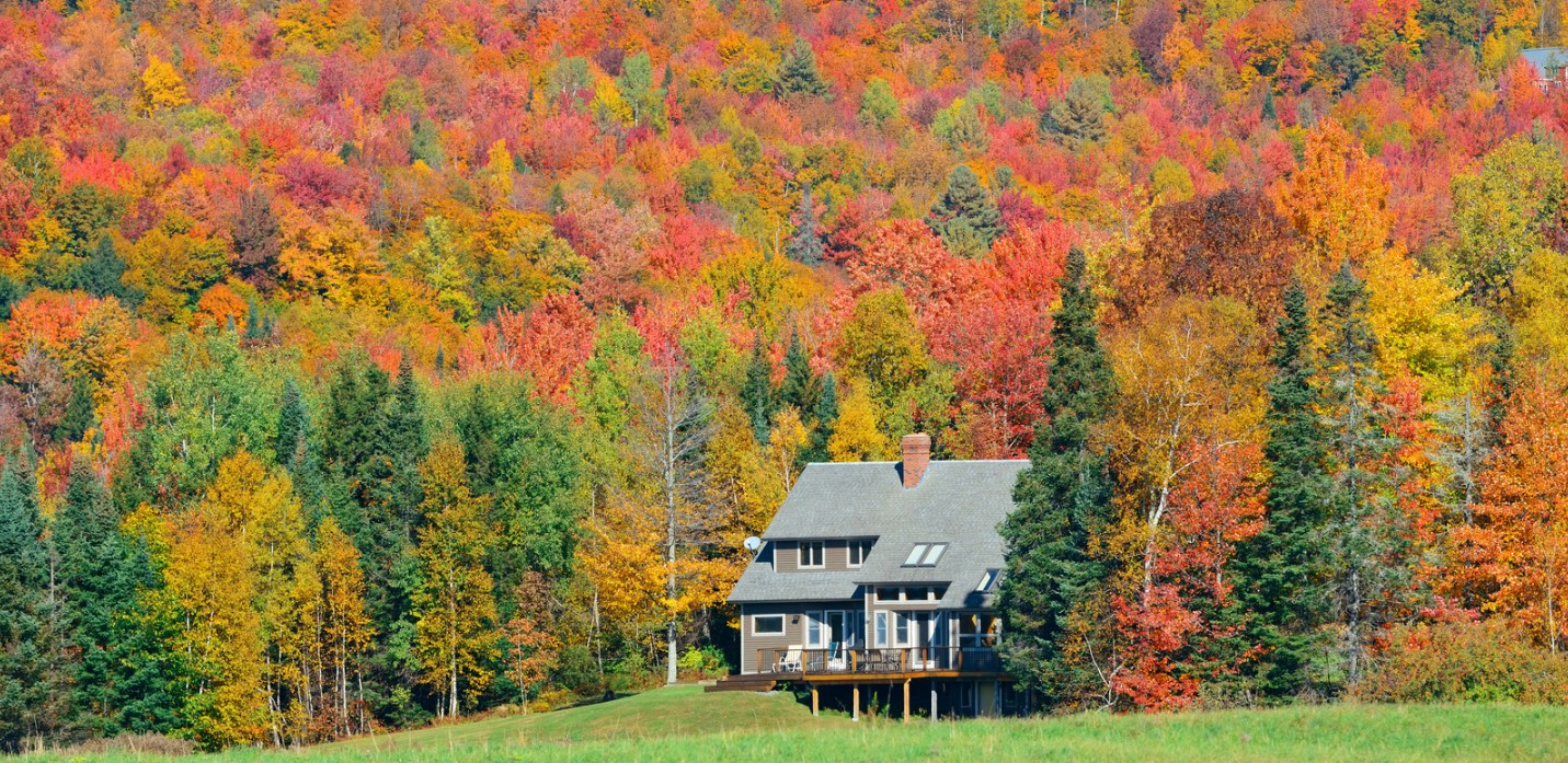 People love autumn for many reasons. For buying homes? Not so much. But this doesn’t mean autumn doesn’t have its own distinct benefits if you’re in the market for a new home. header image.