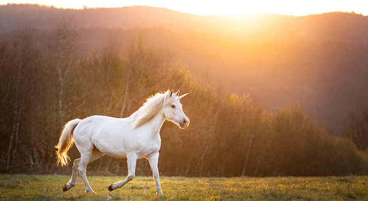 Today’s Real Estate Market: The ‘Unicorns’ Have Galloped Off header image.