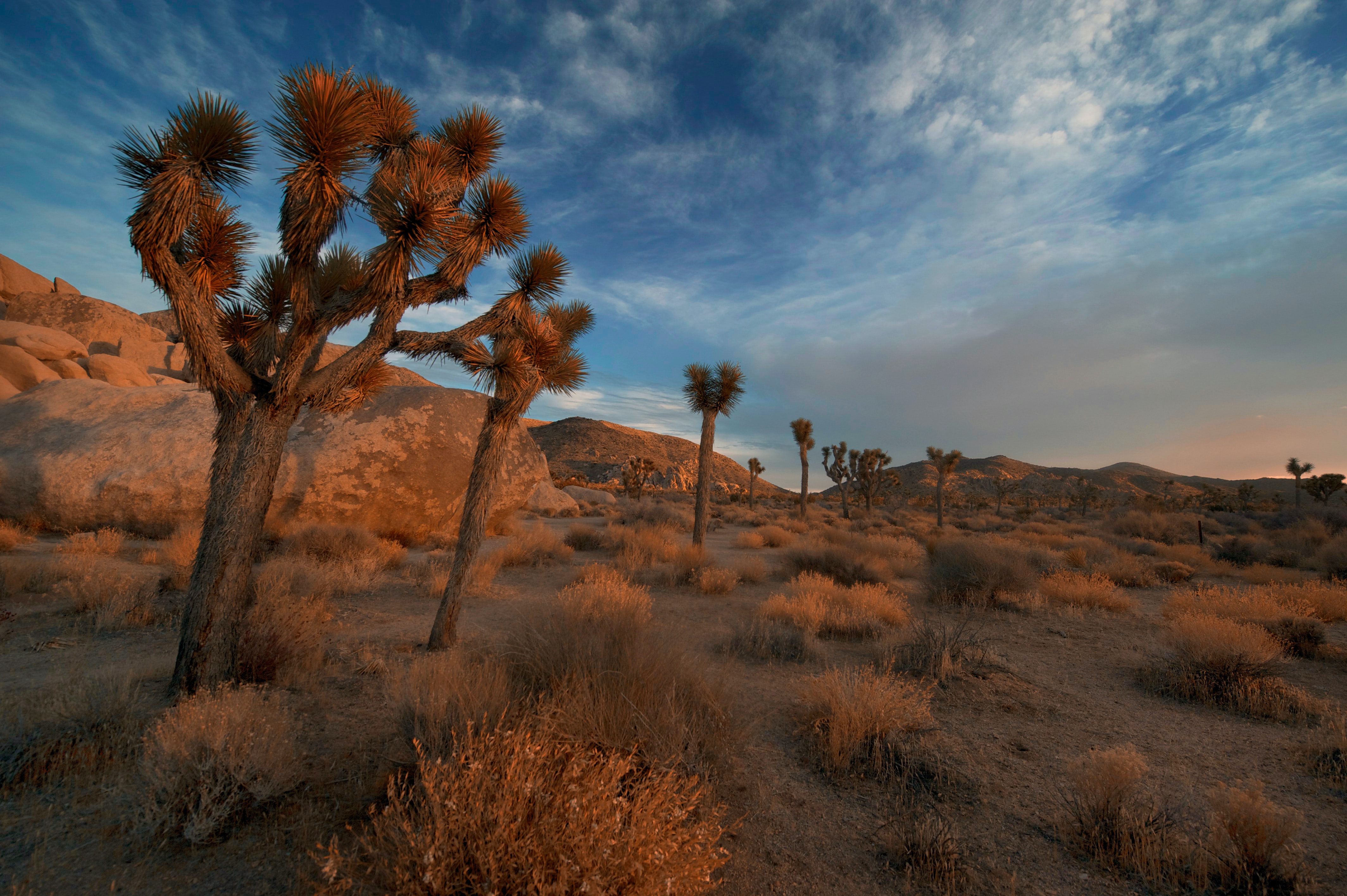 Top 6 Hiking Trails in Henderson, Nevada header image.