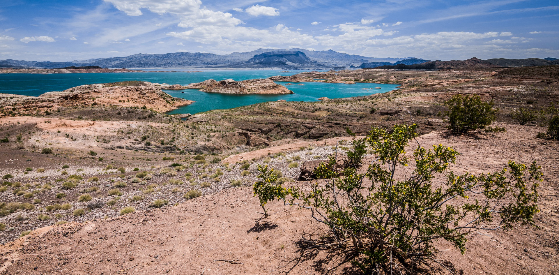 Top 4 Things To Do Lakeside at  Lake Mead header image.