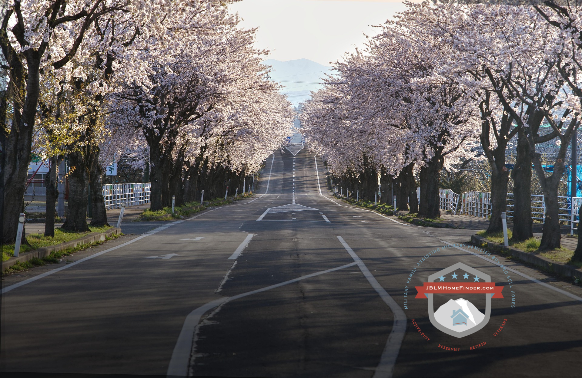 Bucket list: Spring in Washington State header image.