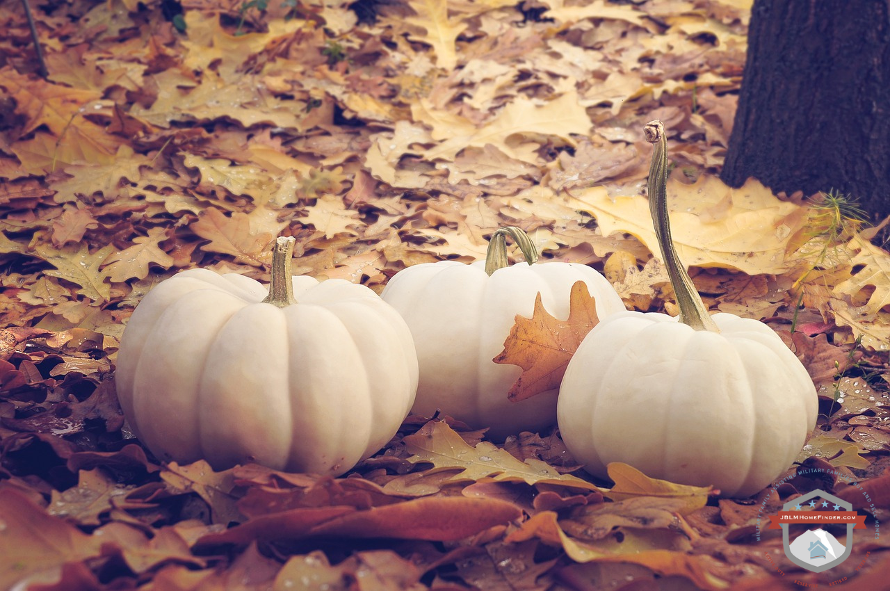 THE BEST HALLOWEEN ACTIVITIES IN AND AROUND WASHINGTON STATE header image.